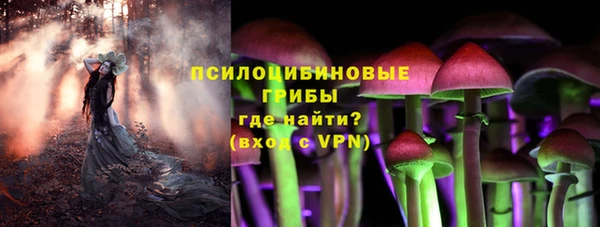 прущие крисы Арсеньев