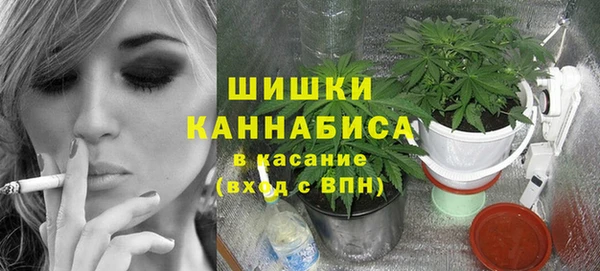 прущие крисы Арсеньев