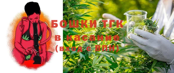 прущие крисы Арсеньев