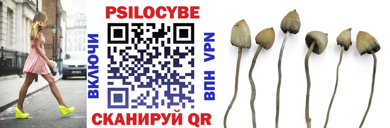 Псилоцибиновые грибы GOLDEN TEACHER  Лихославль 
